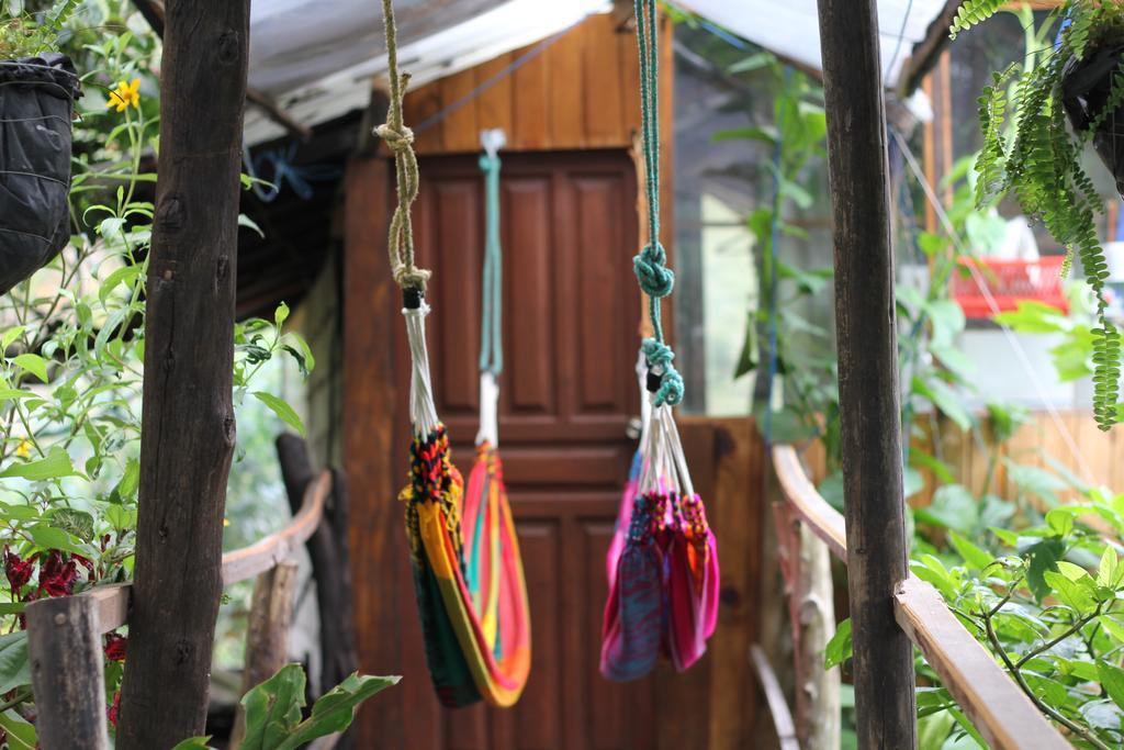 Хостел Backpackers Balcones Баньйос Екстер'єр фото
